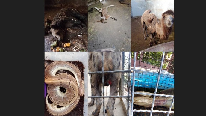 Istraga o stanju Zoo vrta